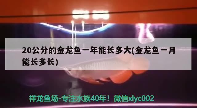 江蘇寶大祥青少年兒童購物有限公司奧萊店 全國水族館企業(yè)名錄 第2張