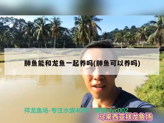 藍色蛇品種：以前碰見的一條天藍色的蛇美極了不知道是什么品種 觀賞魚 第3張