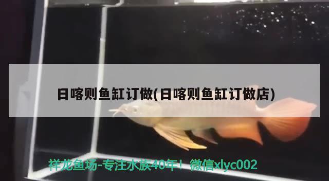 日喀則魚缸訂做(日喀則魚缸訂做店)