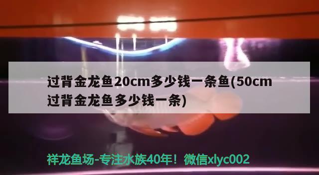 衡水二手魚缸市場(chǎng)地址在哪個(gè)位置?。汉馑峙f貨市場(chǎng)地址和電話