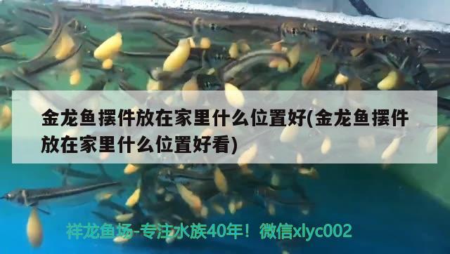 北京德克魚缸實體店：德國德克魚缸西安哪家有售