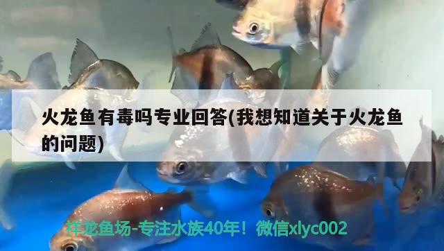 火龍魚有毒嗎專業(yè)回答(我想知道關(guān)于火龍魚的問(wèn)題)