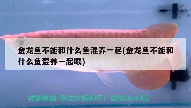 4、5、6三個月什么時候人相對少點，天氣相對好點，大理麗江什么時候去景色比較好。天氣好人少