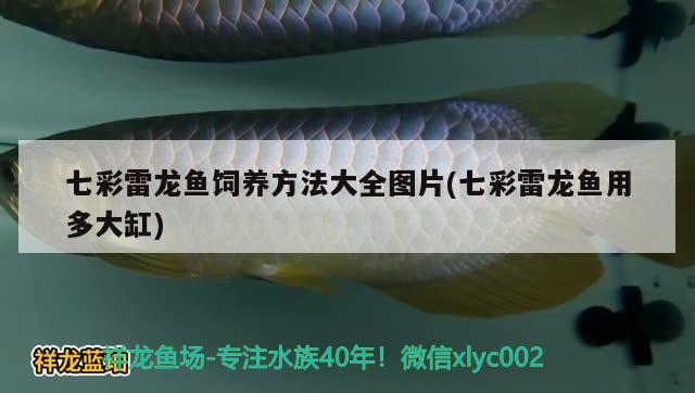 龍魚翹嘴什么情況下會開口？龍魚的翹嘴現(xiàn)象龍魚之間的競爭，龍魚翹嘴什么情況下會開口龍魚的翹嘴是什么情況下會開口