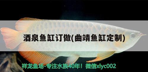 酒泉魚缸訂做(曲靖魚缸定制)