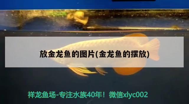 8毫米厚的玻璃能做多大的魚(yú)缸用品：8毫米的玻璃有多厚