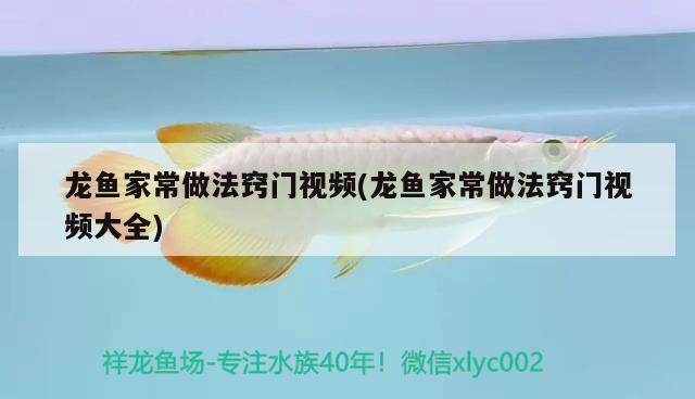 龍魚家常做法竅門視頻(龍魚家常做法竅門視頻大全)