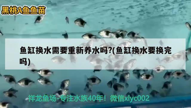 魚缸換水需要重新養(yǎng)水嗎?(魚缸換水要換完嗎) 照明器材