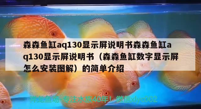 魚缸濾材都有哪些種類圖片（魚缸濾材都有哪些種類圖片和價格）