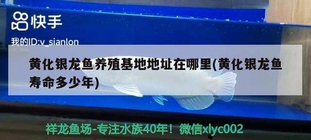 濟寧魚缸回收公司電話地址及電話：濟寧賣魚缸的地方哪里有