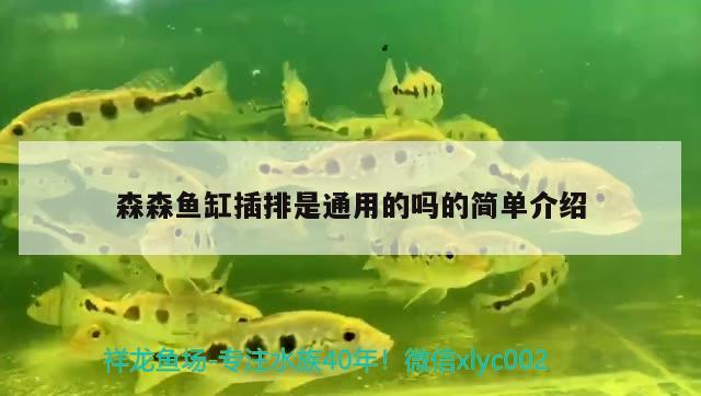 森森魚缸插排是通用的嗎的簡單介紹