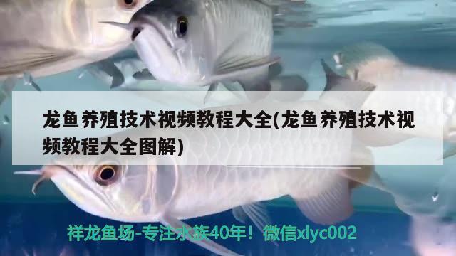 哪里買魚缸柜便宜：魚缸去哪里買價格便宜