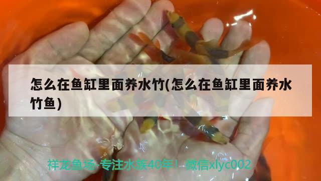 潮州魚缸維護(hù)（潮州魚缸維護(hù)公司）