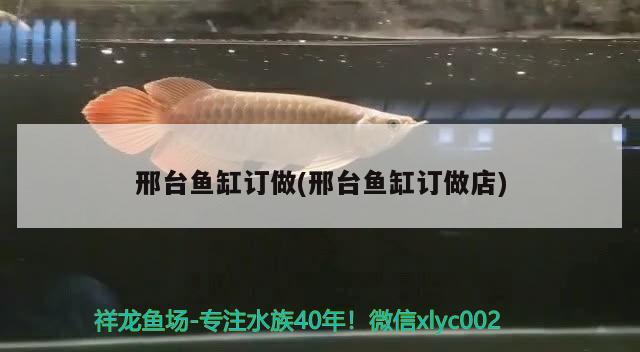 邢臺魚缸訂做(邢臺魚缸訂做店)