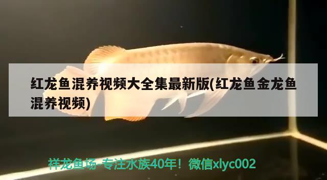 魚缸led燈開多長時間(魚缸led燈開多長時間最好) 魚缸清潔用具