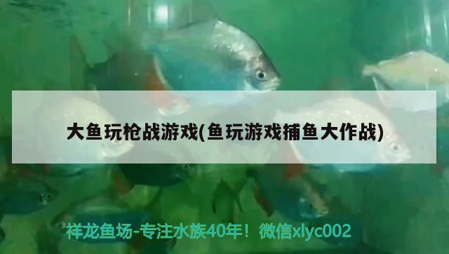 大魚玩槍戰(zhàn)游戲(魚玩游戲捕魚大作戰(zhàn))