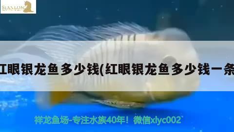 沁源縣沁河鎮(zhèn)海軍魚缸店