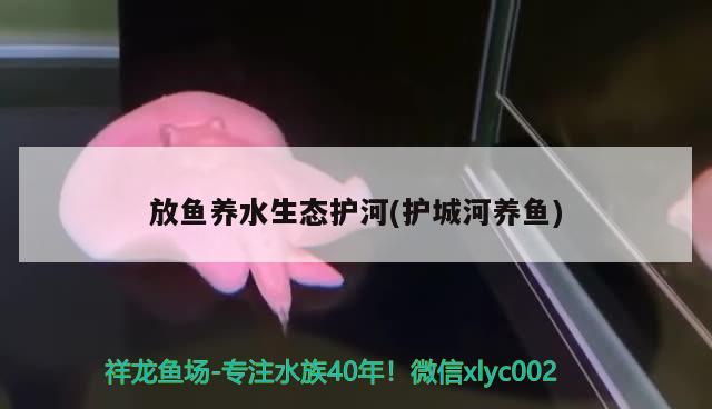 甘肅腌缸肉做法，不出現(xiàn)地名的情況下，你能用一個字證明你是哪個省的人嗎