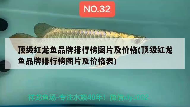 頂級(jí)紅龍魚品牌排行榜圖片及價(jià)格(頂級(jí)紅龍魚品牌排行榜圖片及價(jià)格表)