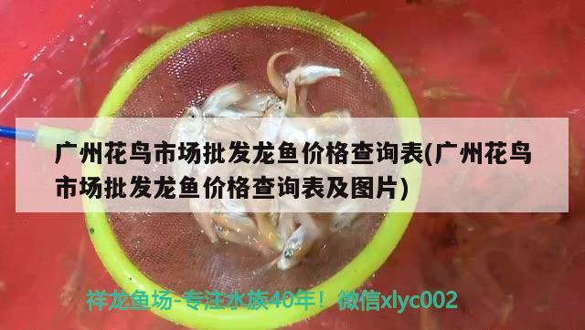 家居風水魚缸的擺放禁忌(擺放魚缸的風水學) 魚缸風水 第2張