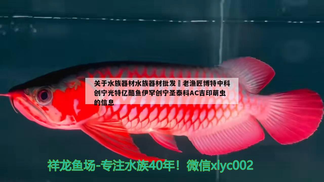 關(guān)于水族器材水族器材批發(fā)?老漁匠博特中科創(chuàng)寧光特億酷魚(yú)伊罕創(chuàng)寧圣泰科AC吉印萌蟲(chóng)的信息 伊罕水族