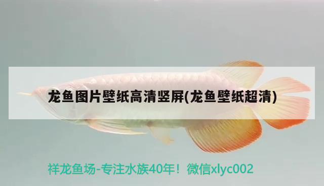 短鯛魚缸的布置方法 短鯛魚缸的布置方法有哪些 速倍妥 第2張