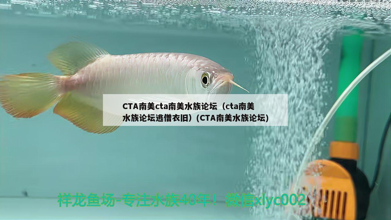 怎么用洗潔精瓶子做魚(yú)缸，魚(yú)缸自帶的過(guò)濾怎么拆