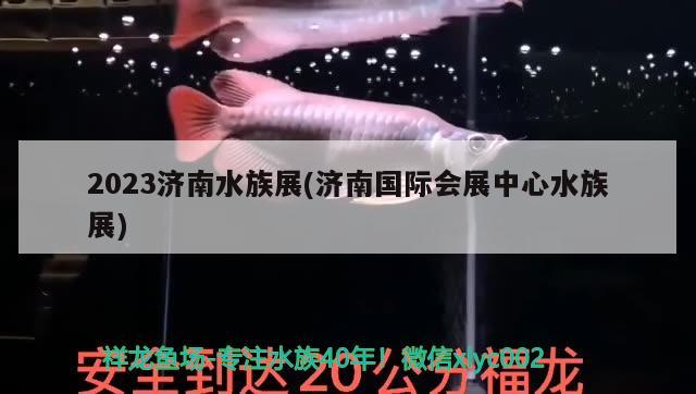 2023濟南水族展(濟南國際會展中心水族展)