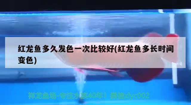 消毒劑廠家排名榜（消毒劑廠家排名榜最新） 馬拉莫寶石魚(yú) 第2張