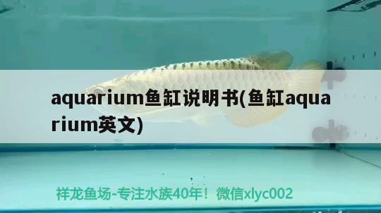 aquarium魚缸說明書(魚缸aquarium英文) 大白鯊魚