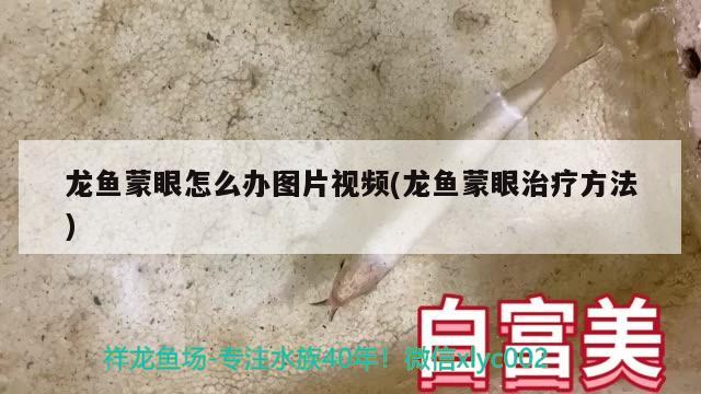 跪求仙劍3尸塊打法機(jī)制的虎皮鸚鵡不肯交配怎么辦，虎皮鸚鵡不肯交配，怎么辦？ 鸚鵡魚(yú) 第2張