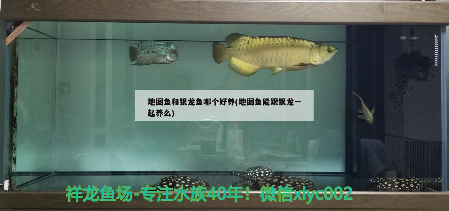 福州哪里有賣魚缸水泵（福州定做魚缸哪家效果棒）