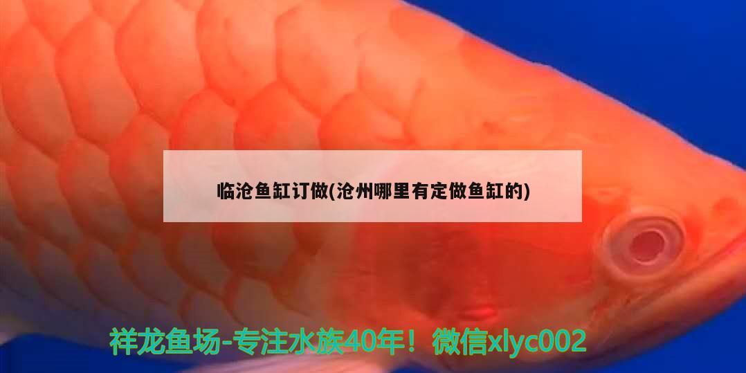 臨滄魚缸訂做(滄州哪里有定做魚缸的)