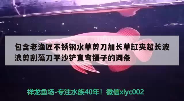 包含老漁匠不銹鋼水草剪刀加長(zhǎng)草缸夾超長(zhǎng)波浪剪刮藻刀平沙鏟直彎鑷子的詞條