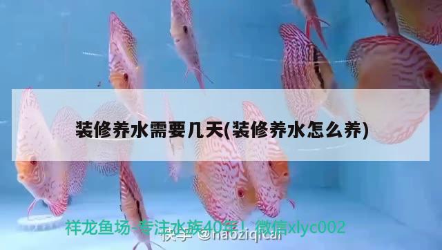 裝修養(yǎng)水需要幾天(裝修養(yǎng)水怎么養(yǎng)) 豹紋夫魚苗