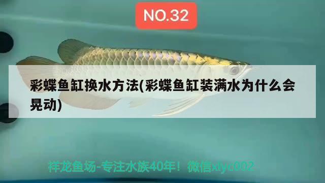 彩蝶魚缸換水方法(彩蝶魚缸裝滿水為什么會晃動) 赤荔鳳冠魚