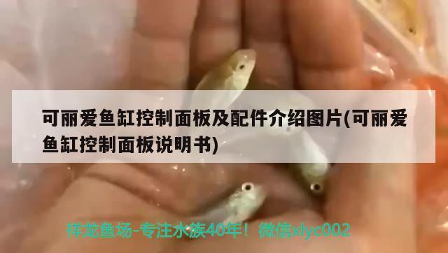 可麗愛魚缸控制面板及配件介紹圖片(可麗愛魚缸控制面板說(shuō)明書)