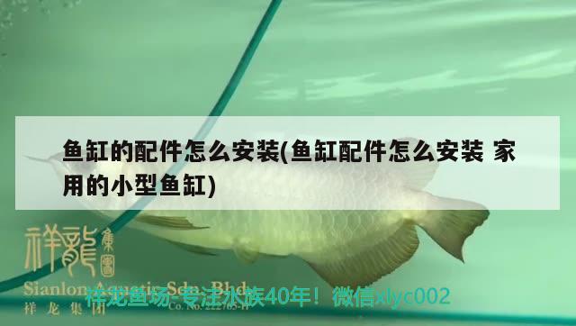 魚缸的配件怎么安裝(魚缸配件怎么安裝家用的小型魚缸) 水族品牌