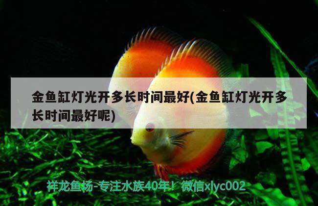 金魚缸燈光開多長時間最好(金魚缸燈光開多長時間最好呢)