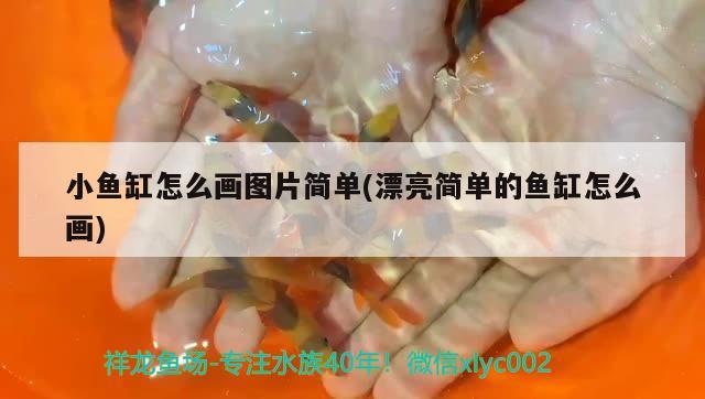 小魚缸怎么畫圖片簡單(漂亮簡單的魚缸怎么畫) 三間鼠魚