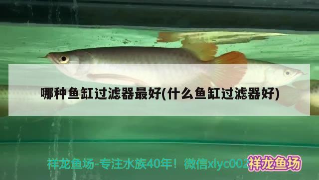 哪種魚缸過濾器最好(什么魚缸過濾器好)