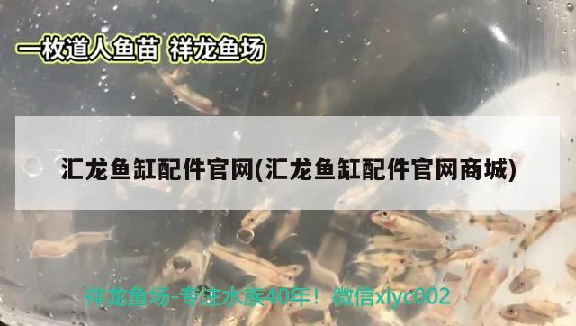 金龍魚生活的最佳水溫：金龍魚最佳溫度 廣州水族批發(fā)市場 第2張