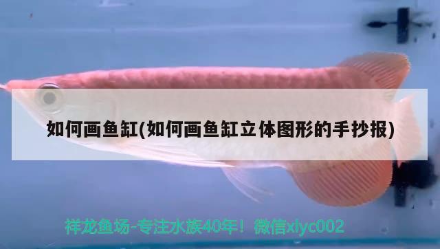 廈門龍魚手術(shù)醫(yī)院怎么樣呀：廈門龍頭魚