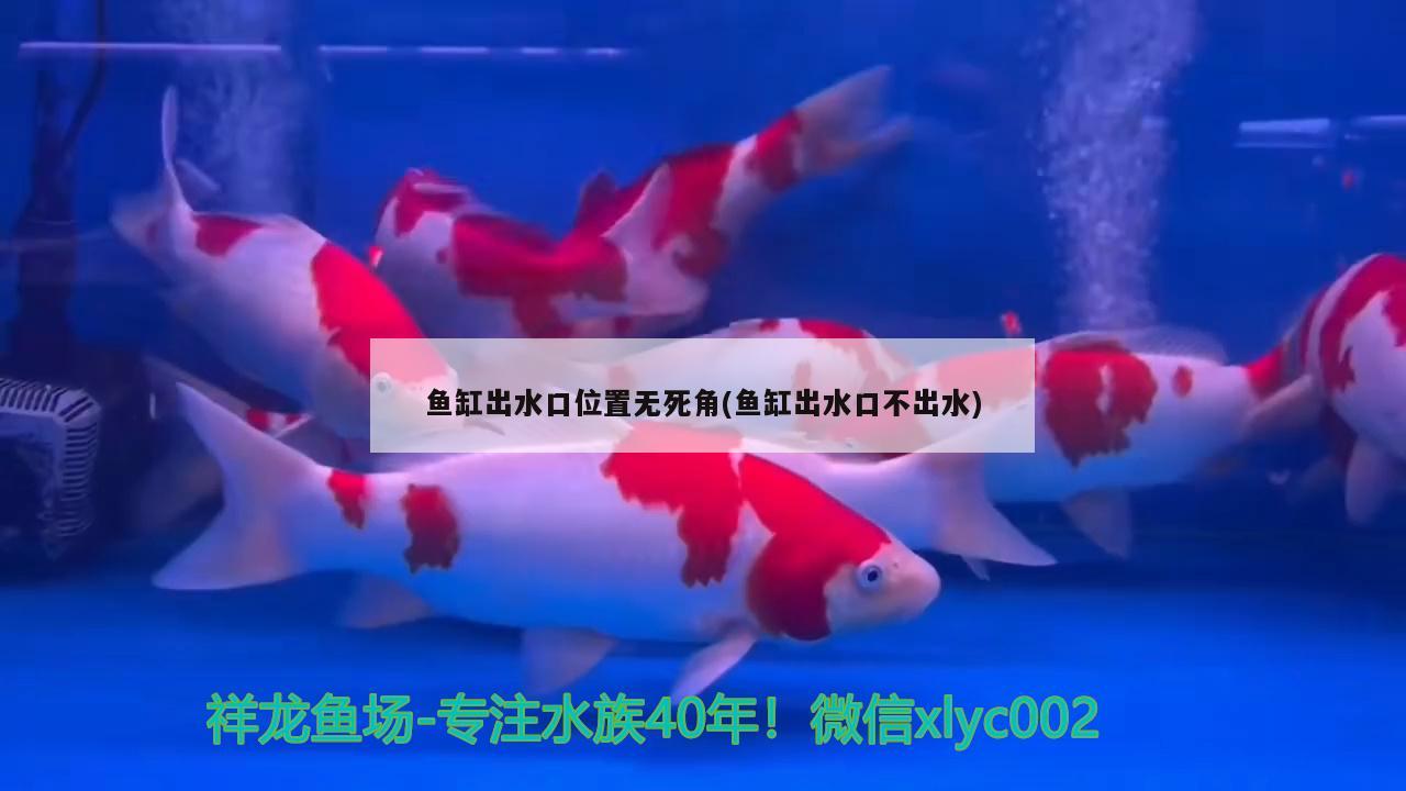 魚缸出水口位置無(wú)死角(魚缸出水口不出水)