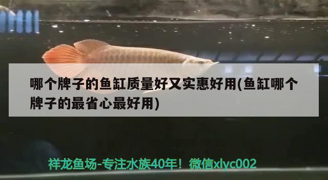 哪個牌子的魚缸質(zhì)量好又實惠好用(魚缸哪個牌子的最省心最好用) 魚缸百科 第2張