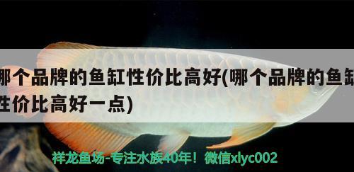 魚缸用彩色燈行嗎視頻(魚缸用什么顏色燈)