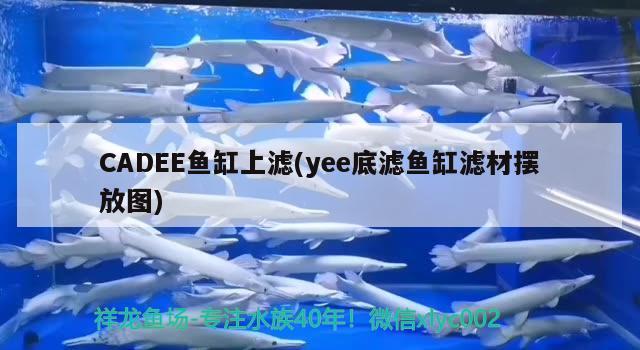 CADEE魚缸上濾(yee底濾魚缸濾材擺放圖)