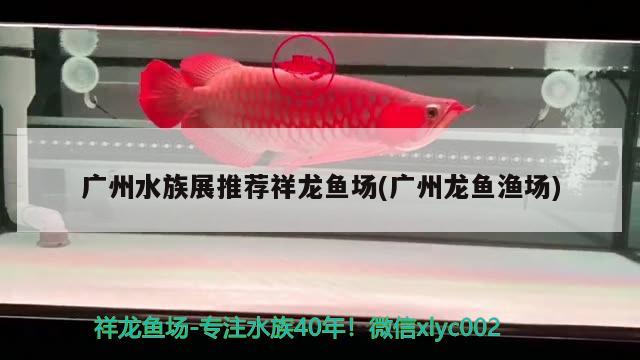 魚缸加氧泵使用方法圖解大全(魚缸加氧泵使用方法圖解大全圖片) 帝王血鉆魚 第1張