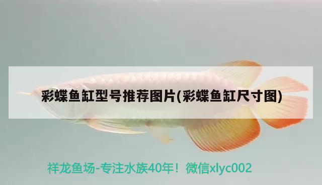 彩蝶魚缸型號推薦圖片(彩蝶魚缸尺寸圖)