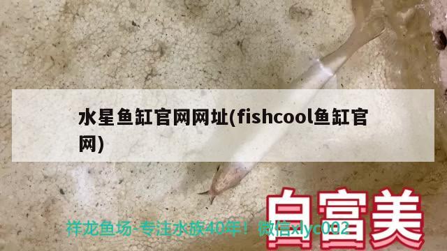 水星魚缸官網網址(fishcool魚缸官網) 肺魚